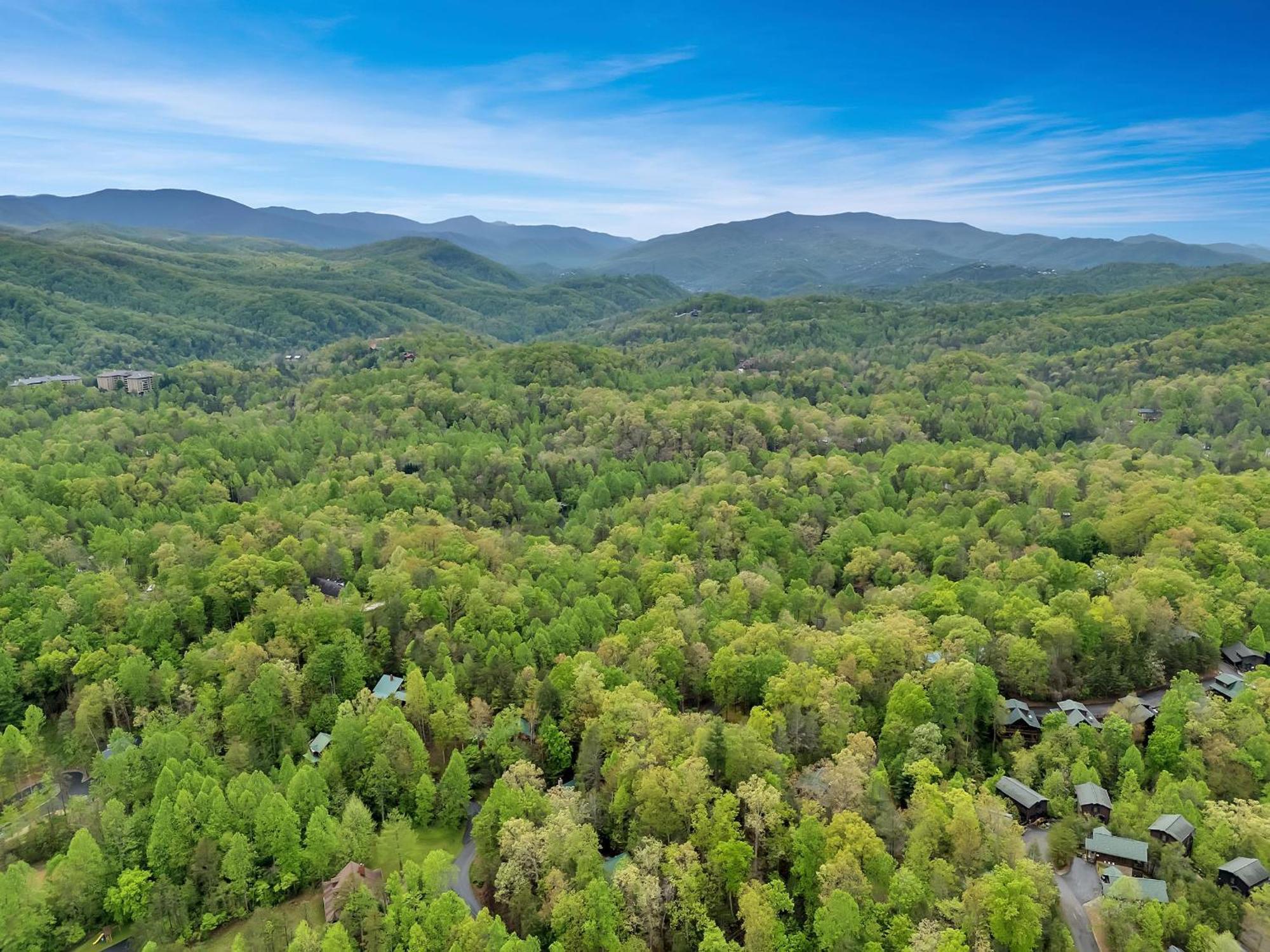 Foxy Lady #1531 Βίλα Gatlinburg Εξωτερικό φωτογραφία